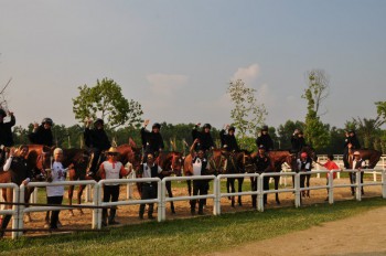 Some of Our Horses